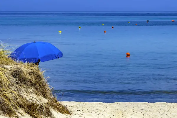 Enchanting Views Dune Costiere Park Pilone Fasano Apulia Italy — Stock Photo, Image