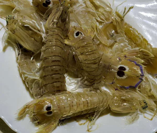 Grup Çiğ Taze Mantis Karides Beyaz Arka Plan Üzerinde — Stok fotoğraf