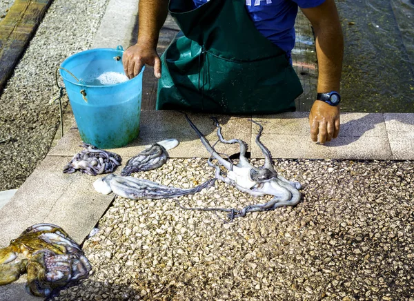 Pescador Bate Polvo Pescado Para Fazer Polvo Mais Suave Que — Fotografia de Stock