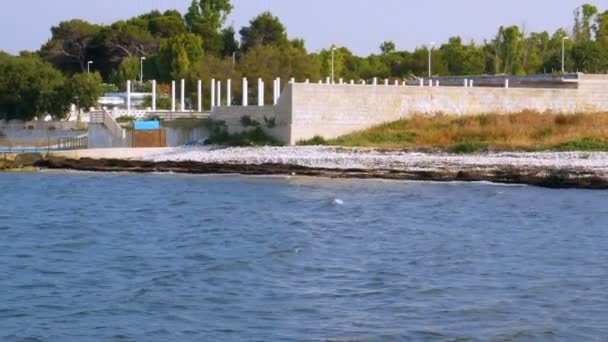 Gabbiano Scivola Sul Mare Nutrirsi Alcuni Pesci — Video Stock