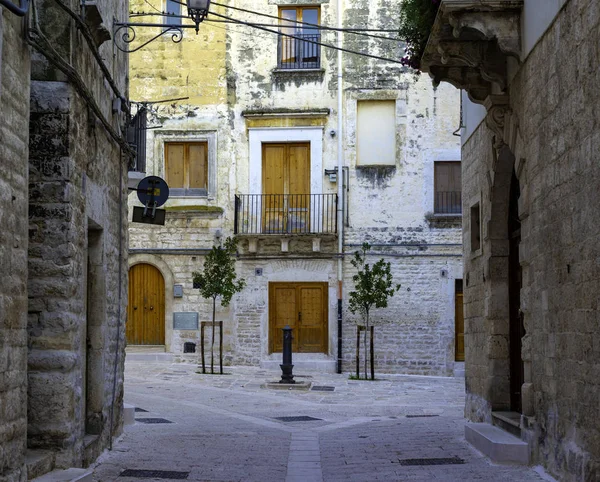 Street View Květinovými Květináči Regionu Apulia Modugno Apulia — Stock fotografie