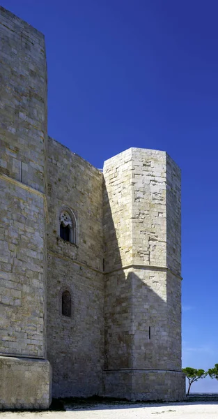 Castel Del Monte Hogy Emelkedik Felföldek Murge Unesco Világörökségi Helyszín — Stock Fotó