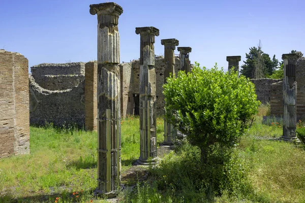 Pompeii Antik Kentinin Kazılan Binaları Sütunları Kalıntıları Napoli Kenti Campania — Stok fotoğraf