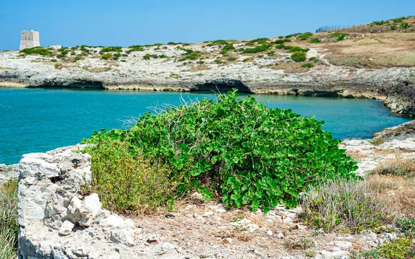 Italian Holidays Puglia Natural Park Gargano Beautiful Turquoise Sea — Stock Photo, Image