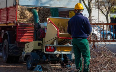 Modugno, İtalya - 19 Eylül 2016: Kasklı işçi elektrikli testereyle dallar kesiyor ve bunları çöp sahasına taşımak için bir kamyona yüklüyor