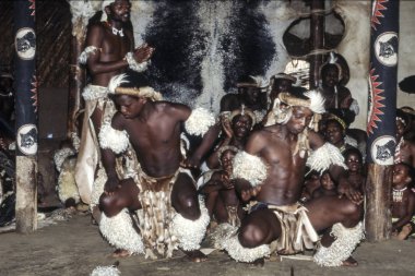 Zulu insanlar, Shakaland Zulu Köyü, Nkwalini Vadisi,: Kwazulu Natal, South Africa.