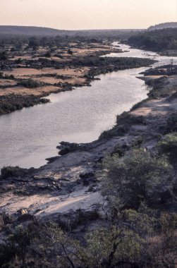 Kruger Ulusal Parkı, Mpumalanga, Güney Afric olifant nehrin panoramik görünümü