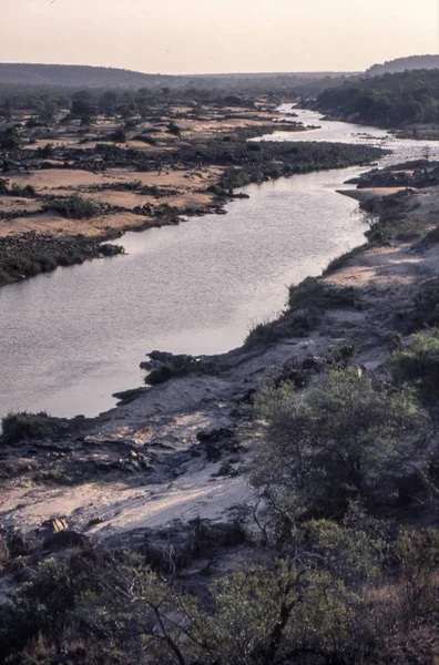 Kruger Ulusal Parkı, Mpumalanga, Güney Afric olifant nehrin panoramik görünümü