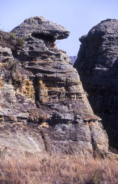 Timsah Kayası — Stok fotoğraf