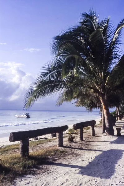 Una Delle Spiagge Più Famose Zanzibar Kiwengwa Tanzania Africa — Foto Stock