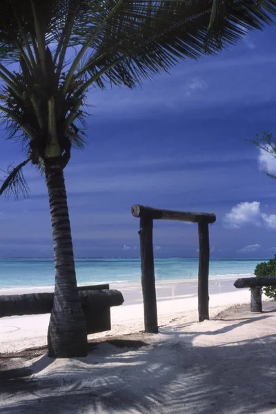 Spiaggia Kiwengwa Zanzibar Tanzania Africa — Foto Stock