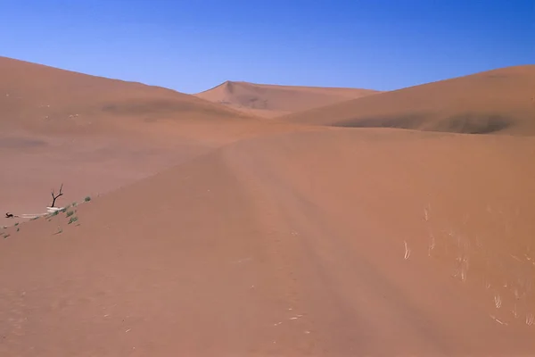 Deadvlei Namíb Sivatag Afrika Namíbia Hardap Namib Naukluft Parkban Dűnék — Stock Fotó