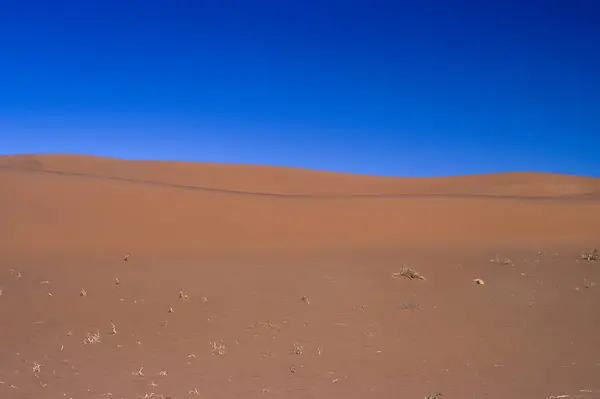 Wydmy Deadvlei Pustyni Namib Afryka Namibia Hardap Parku Namib Naukluft — Zdjęcie stockowe