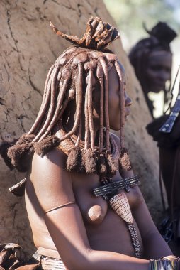 May 15, 2005. geleneksel saç modeli, kolye ve tipik hardal renkli deri ile belirsiz bir Himba kadın portresi. Epupa Falls, Kaokoland veya il Kunene, Namibia, Afrika
