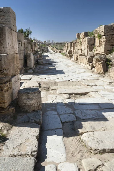 고고학 사이트 Leptis 마그나 리비아의 2006 대성당의 심한에 Leptis 마그나 — 스톡 사진