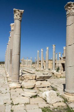 Sit alanı Leptis Magna, Libya - 10/30/2006: pazarı içinde Antik Roma şehir, Leptis Magna.
