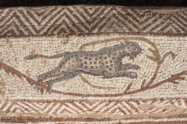 Libya - 10/30/2006: Villa Sileen (Silin), onun muhteşem mozaikler ile Roma edinilmesiyle yurdu antik kalıntıları.