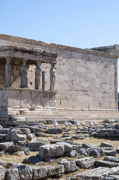 Акрополь - храм Эрехтеум в Афинах — стоковое фото