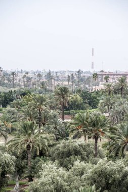 Marakeş şehrinin havadan panoramik görünümü, Fas