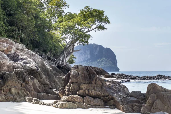 대나무 해변, 태국 — 스톡 사진