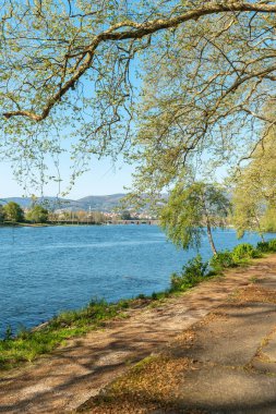Park bankında nehir kenarında doğa manzarası, Ponte de Lima, Portekiz