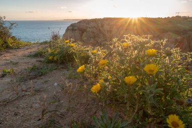 Günbatımı kayalıklarla ve Atlantik Okyanusu, Lagos, Algarve, Portekiz tarafından plajları üzerinde