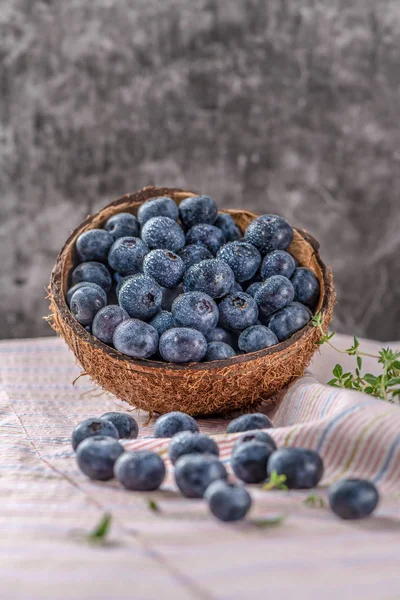 Fresh ripe wild blueberries in bowl. Wild blueberry is antioxidant food and vitamin C. Healthy and delicious fruits concept of blueberry.