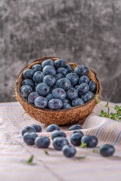 Mirtilli Selvatici Freschi Maturi Ciotola Mirtillo Selvatico Cibo Antiossidante Vitamina — Foto Stock