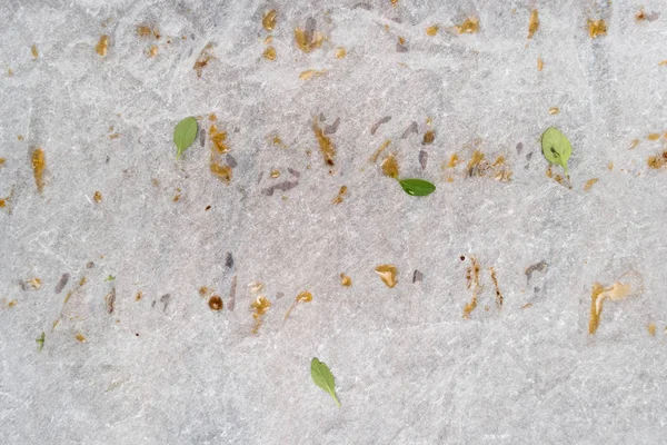 タイムの葉を背景に脂肪分の多い用紙を粉砕 — ストック写真