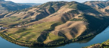 Douro Valley ve nehir Portekiz Pinhao Köyü yakınındaki teraslı üzüm bağları görünümünü. Kavram Portekiz seyahat ve Portekiz en güzel yerleri.