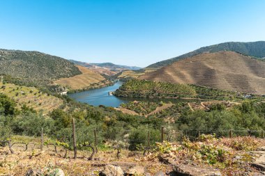 Vargelas Bakış açısı Douro, Portekiz üzerinde geniş bir manzara görmenizi sağlar