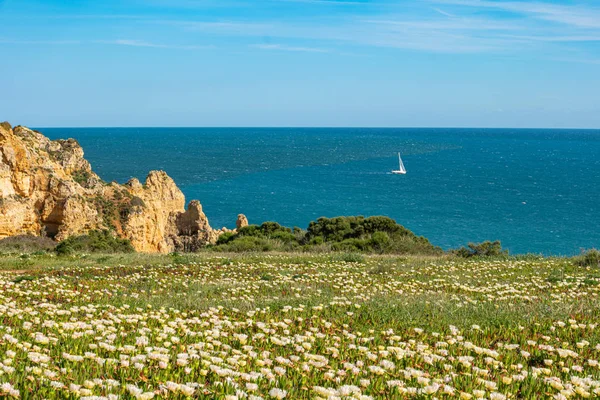 Lagos, Algarve, Portekiz 'deki Ponta da Piedade' deki deniz fenerine bakın. — Stok fotoğraf