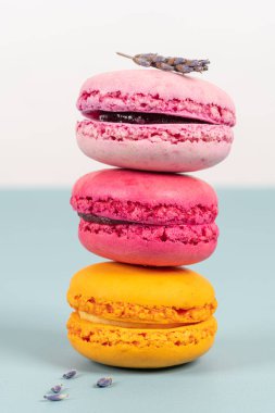 Turkuaz arka planda pasta ya da badem kurabiyeleri, pastel renkler, klasik kartlar.