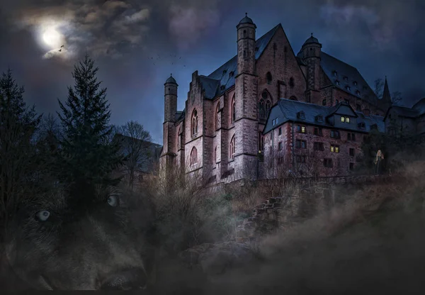 Одинокий Волк Наблюдает Замком Дамой Стене Хэллоуин — стоковое фото