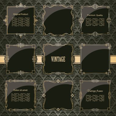 Lixury Altın çerçeveler ve küme komşudur. Vektör