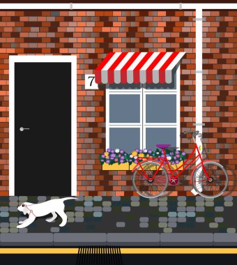 Provence tarzı evin yakınında çiçeklerle bisiklet. Vintage bina cephesi. Köpek yürüyüş