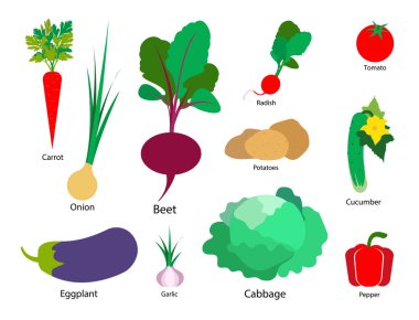 Beyaz izole arka planda sebze seti. Vektör Illustration.