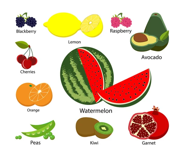 Conjunto de frutas sobre fondo blanco aislado. Ilustración vectorial . — Vector de stock