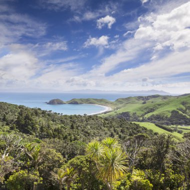 Coromandel bağlantı noktası Jackson Yeni Zelanda