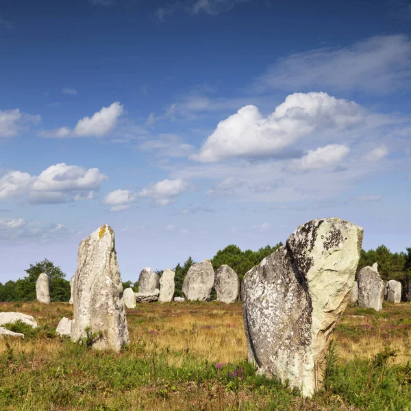 Alinhamentos Carnac Bretanha França — Fotografia de Stock