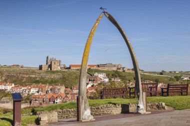 Balenli kemer Whitby North Yorkshire İngiltere'de