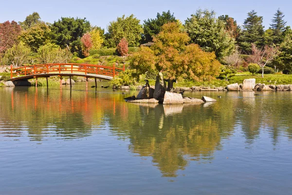Jardín japonés, Toowoomba, Queensland, Australia — Foto de Stock