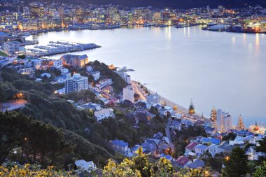 Wellington Yeni Zelanda Twilight Cbd üzerinde