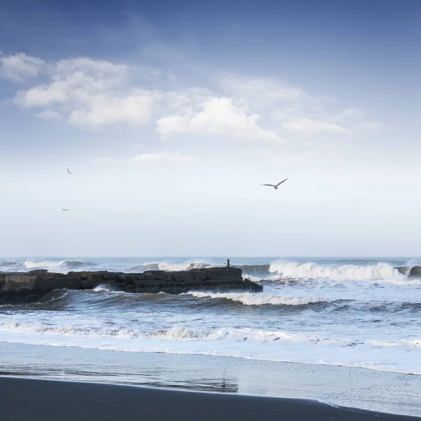 Wild Seascape with Old Jetty and Seagulls Overhead Square — Stock Photo, Image