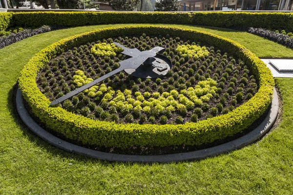 Floral Clock in Spring, Napier, New Zealand — Stock Photo, Image