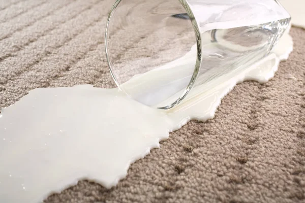 Spilled Milk on Carpet — Stock Photo, Image