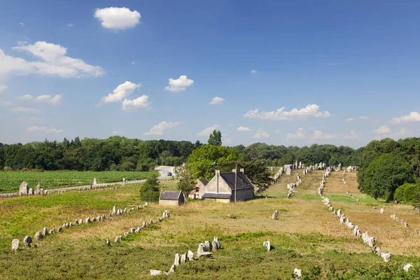 Carnac ausrichtungen bretagne frankreich — Stockfoto