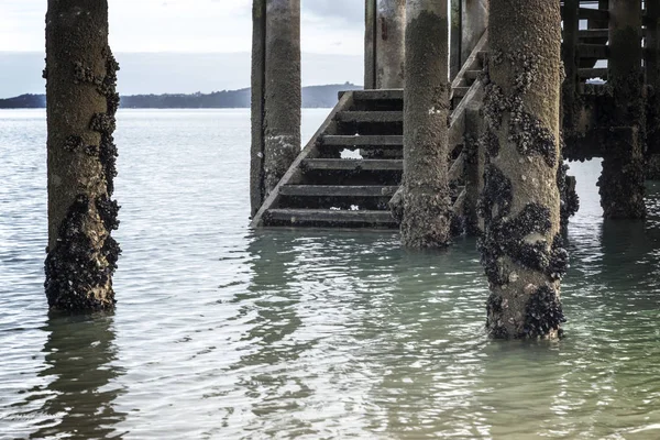 Προβλήτα παραλίας Maraetai βήματα Ώκλαντ, Νέα Ζηλανδία — Φωτογραφία Αρχείου