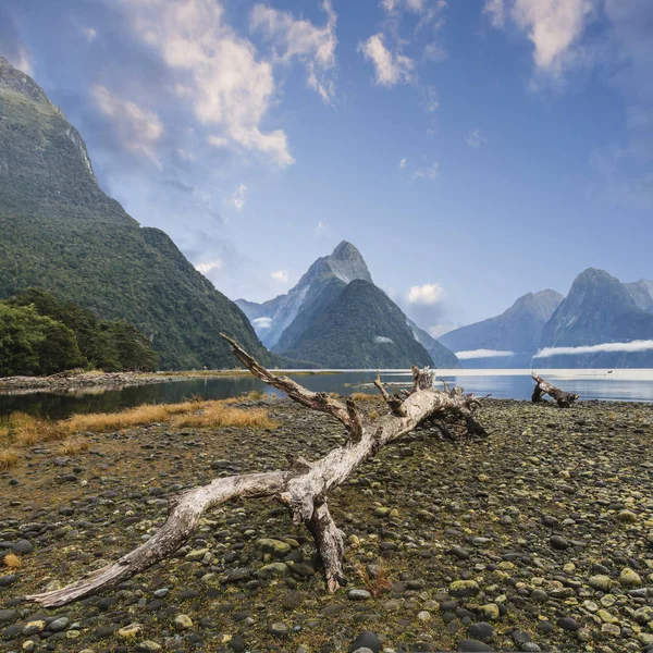 Mitre Peak en Milford Sound, Nieuw-Zeeland — Stockfoto