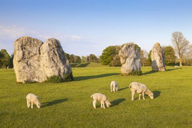 Avebury taş daire İngiltere İngiltere